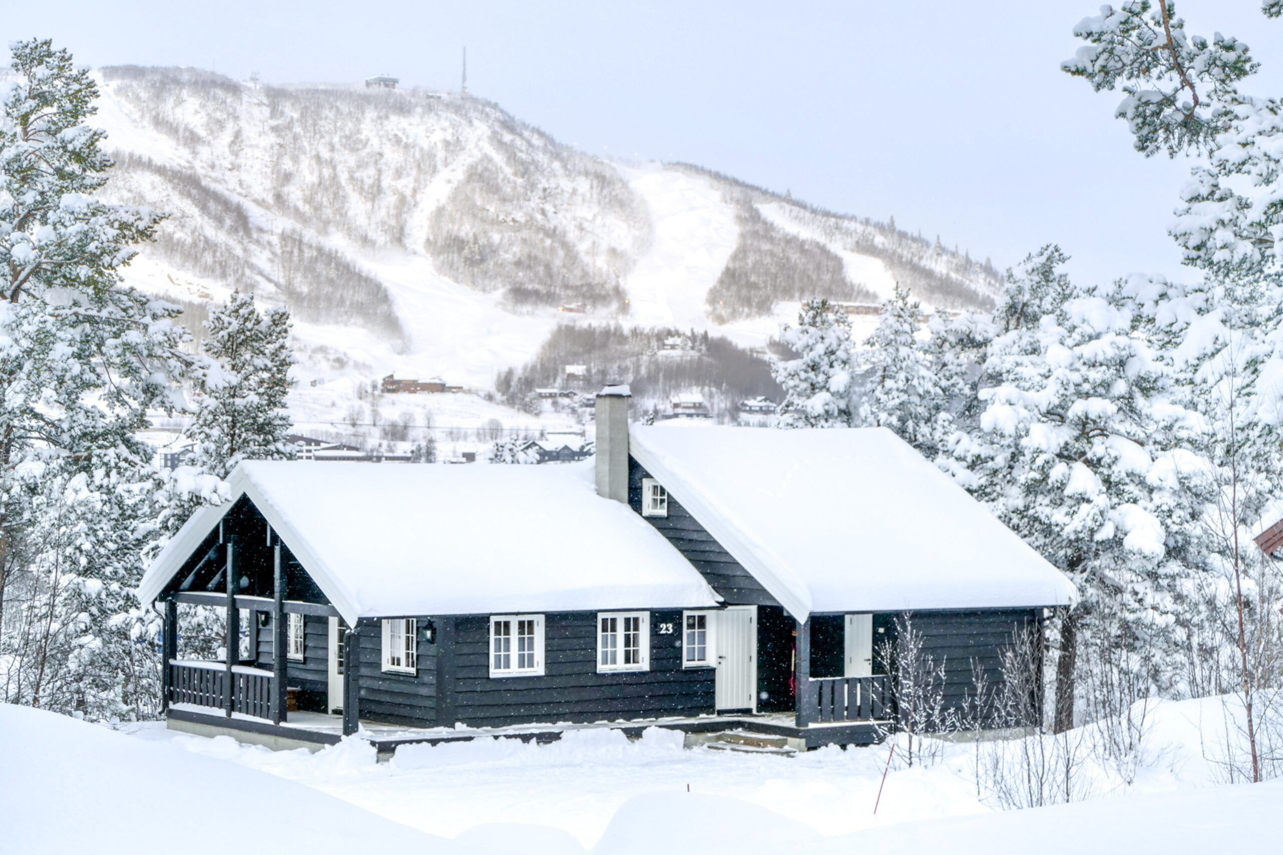 Eksteriør av hytte omringet av trær, med fjell i bakgrunnen. Foto