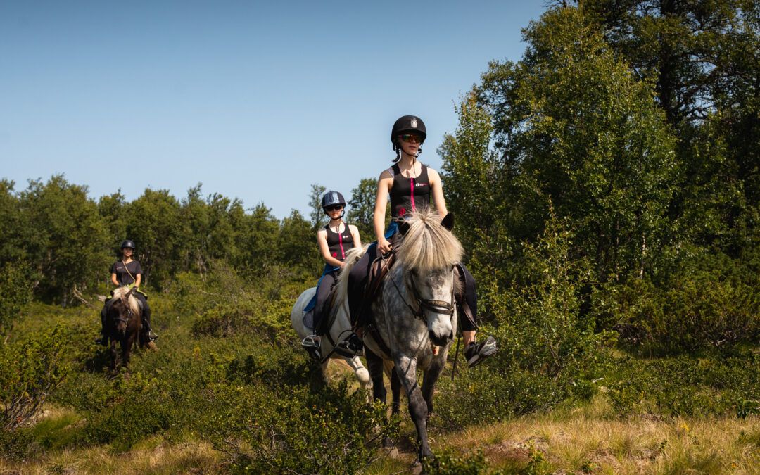 Horseback riding