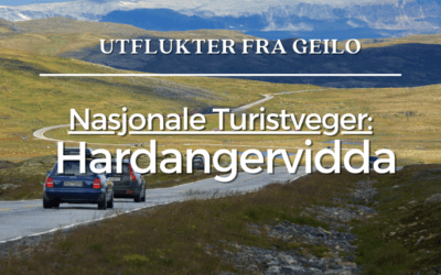 Nasjonale turistveger – Hardangervidda
