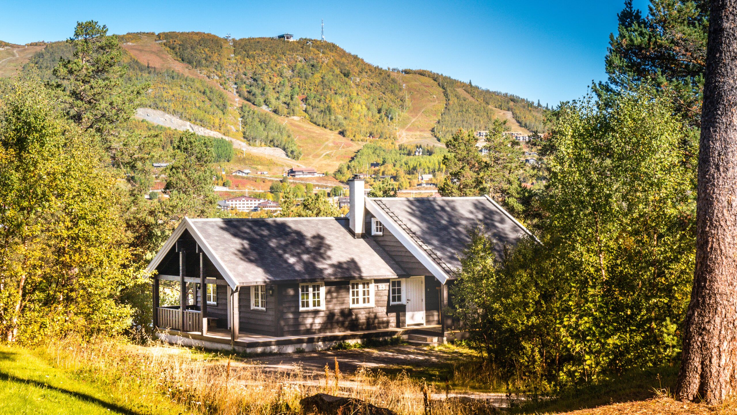 Hytte på hyttetun, med fjell og trær i bakgrunnen. Høstfarger. Foto